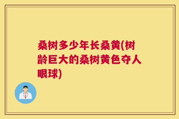 桑树多少年长桑黄(树龄巨大的桑树黄色夺人眼球)