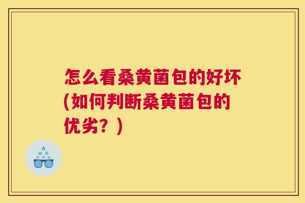 怎么看桑黄菌包的好坏(如何判断桑黄菌包的优劣?) 怎么看桑黄菌包的好坏(如何判断桑黄菌包的优劣?)