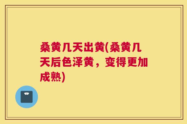 桑黄几天出黄(桑黄几天后色泽黄,变得更加成熟) 桑黄几天出黄(桑黄几天后色泽黄,变得更加成熟)