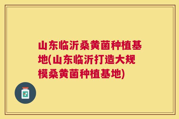 山东临沂桑黄菌种植基地(山东临沂打造大规模桑黄菌种植基地) 山东临沂桑黄菌种植基地(山东临沂打造大规模桑黄菌种植基地)