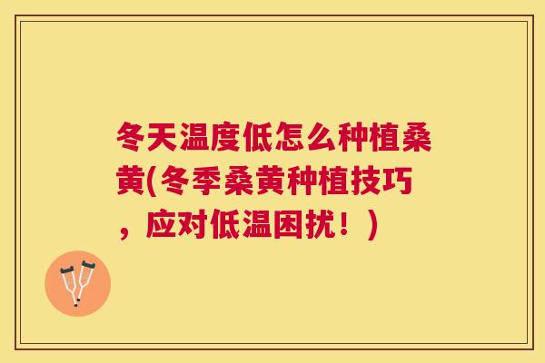 冬天温度低怎么种植桑黄(冬季桑黄种植技巧,应对低温困扰!) 冬天温度低怎么种植桑黄(冬季桑黄种植技巧,应对低温困扰!)