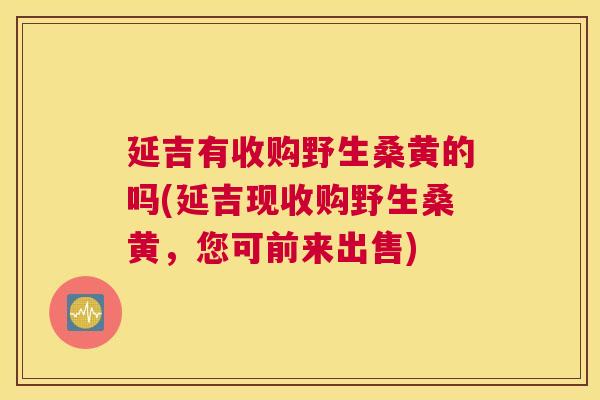 延吉有收购野生桑黄的吗(延吉现收购野生桑黄,您可前来出售) 延吉有收购野生桑黄的吗(延吉现收购野生桑黄,您可前来出售)