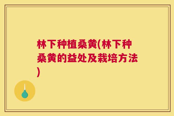 林下种植桑黄(林下种桑黄的益处及栽培方法)
