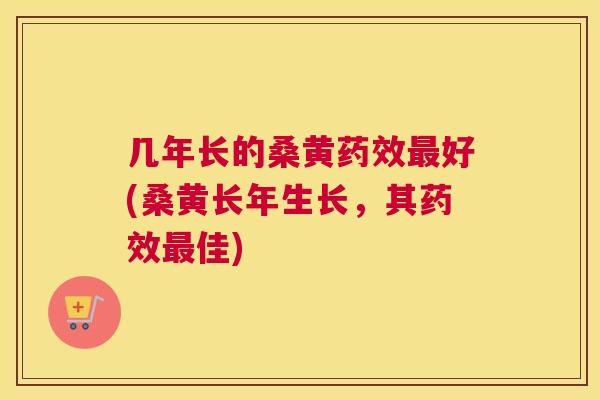 几年长的桑黄好(桑黄长年生长,其佳) 几年长的桑黄好(桑黄长年生长,其佳)