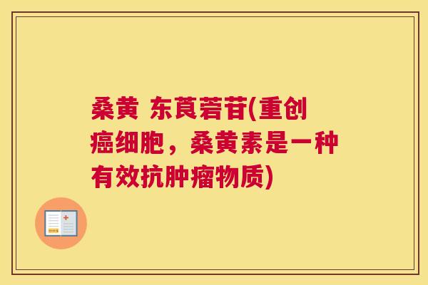 桑黄 东莨菪苷(重创细胞，桑黄素是一种有效抗物质)