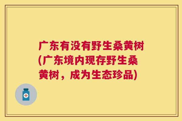 广东有没有野生桑黄树(广东境内现存野生桑黄树,成为生态珍品) 广东有没有野生桑黄树(广东境内现存野生桑黄树,成为生态珍品)