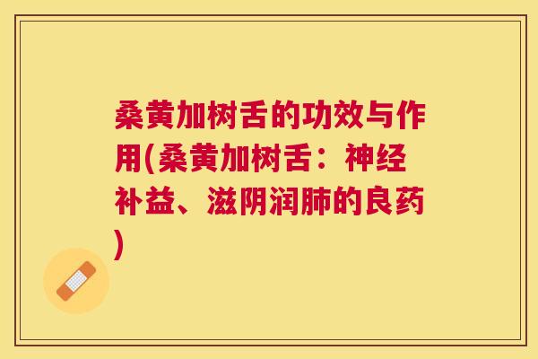 桑黄加树舌的功效与作用(桑黄加树舌:补益、滋阴润的良药) 桑黄加树舌的功效与作用(桑黄加树舌:补益、滋阴润的良药)