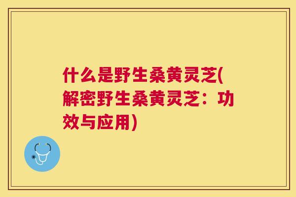 什么是野生桑黄灵芝(解密野生桑黄灵芝:功效与应用) 什么是野生桑黄灵芝(解密野生桑黄灵芝:功效与应用)
