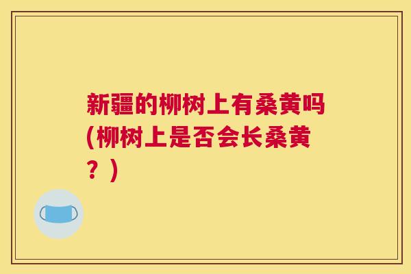 新疆的柳树上有桑黄吗(柳树上是否会长桑黄?) 新疆的柳树上有桑黄吗(柳树上是否会长桑黄?)