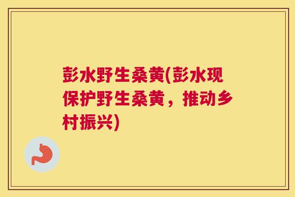 彭水野生桑黄(彭水现保护野生桑黄,推动乡村振兴) 彭水野生桑黄(彭水现保护野生桑黄,推动乡村振兴)