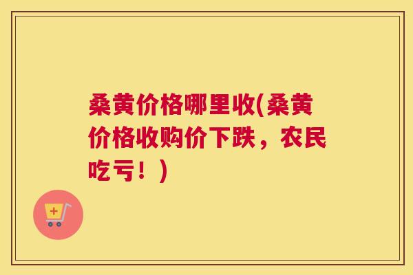 桑黄价格哪里收(桑黄价格收购价下跌,农民吃亏!) 桑黄价格哪里收(桑黄价格收购价下跌,农民吃亏!)