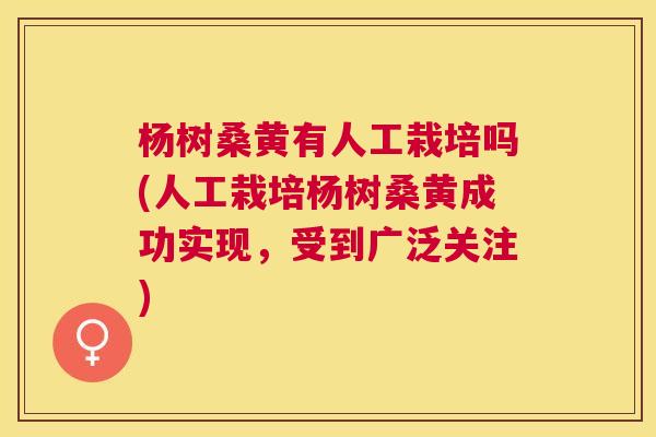 杨树桑黄有人工栽培吗(人工栽培杨树桑黄成功实现,受到广泛关注) 杨树桑黄有人工栽培吗(人工栽培杨树桑黄成功实现,受到广泛关注)