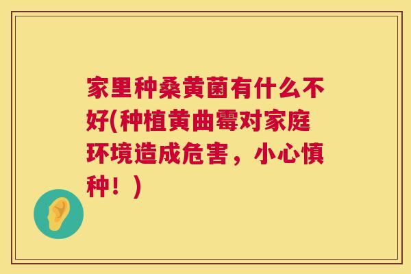 家里种桑黄菌有什么不好(种植黄曲霉对家庭环境造成危害,小心慎种!) 家里种桑黄菌有什么不好(种植黄曲霉对家庭环境造成危害,小心慎种!)