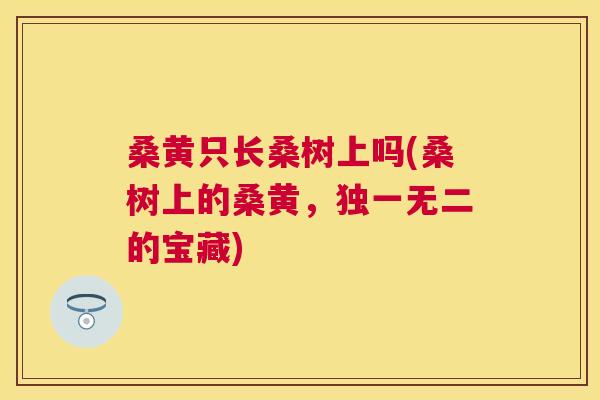 桑黄只长桑树上吗(桑树上的桑黄,独一无二的宝藏) 桑黄只长桑树上吗(桑树上的桑黄,独一无二的宝藏)