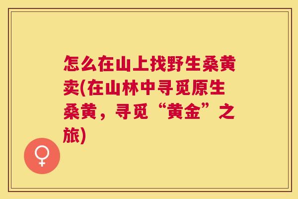 怎么在山上找野生桑黄卖(在山林中寻觅原生桑黄,寻觅“黄金”之旅) 怎么在山上找野生桑黄卖(在山林中寻觅原生桑黄,寻觅“黄金”之旅)
