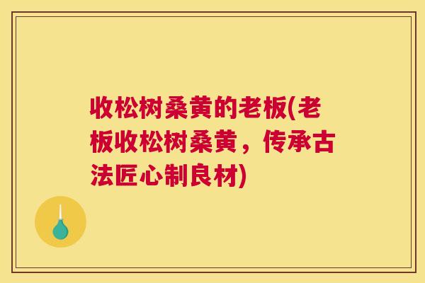 收松树桑黄的老板(老板收松树桑黄,传承古法匠心制良材) 收松树桑黄的老板(老板收松树桑黄,传承古法匠心制良材)