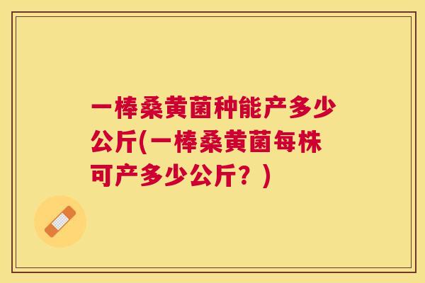 一棒桑黄菌种能产多少公斤(一棒桑黄菌每株可产多少公斤?) 一棒桑黄菌种能产多少公斤(一棒桑黄菌每株可产多少公斤?)