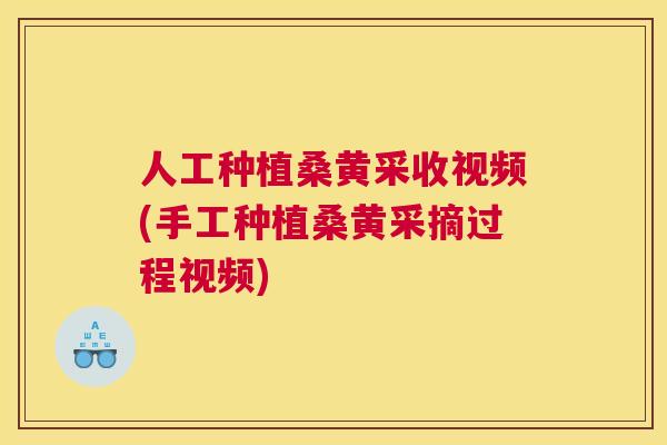 人工种植桑黄采收视频(手工种植桑黄采摘过程视频) 人工种植桑黄采收视频(手工种植桑黄采摘过程视频)