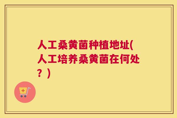 人工桑黄菌种植地址(人工培养桑黄菌在何处?) 人工桑黄菌种植地址(人工培养桑黄菌在何处?)