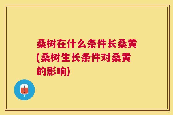 桑树在什么条件长桑黄(桑树生长条件对桑黄的影响) 桑树在什么条件长桑黄(桑树生长条件对桑黄的影响)