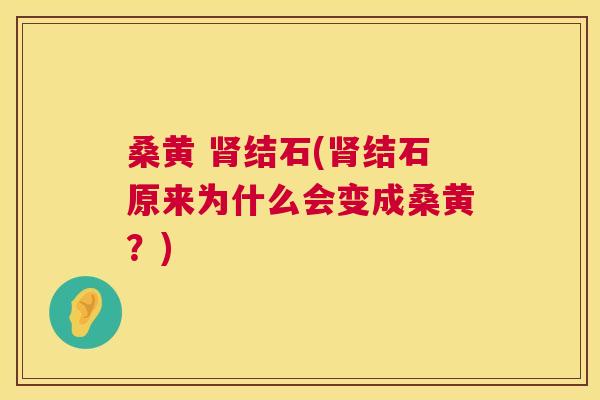桑黄 结石(结石原来为什么会变成桑黄?) 桑黄 结石(结石原来为什么会变成桑黄?)