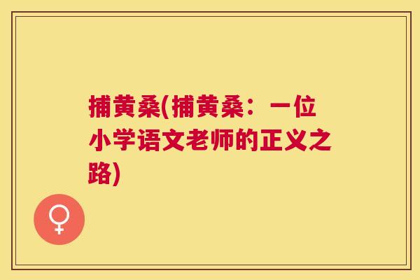 捕黄桑(捕黄桑：一位小学语文老师的正义之路)
