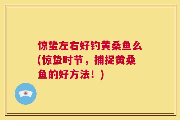 惊蛰左右好钓黄桑鱼么(惊蛰时节,捕捉黄桑鱼的好方法!) 惊蛰左右好钓黄桑鱼么(惊蛰时节,捕捉黄桑鱼的好方法!)
