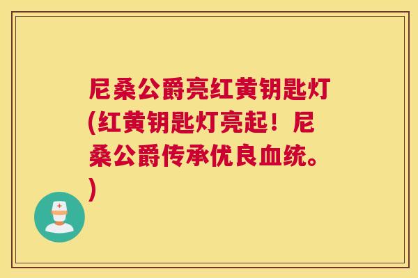 尼桑公爵亮红黄钥匙灯(红黄钥匙灯亮起!尼桑公爵传承优良统。) 尼桑公爵亮红黄钥匙灯(红黄钥匙灯亮起!尼桑公爵传承优良统。)