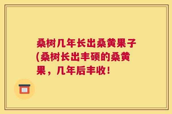 桑树几年长出桑黄果子(桑树长出丰硕的桑黄果,几年后丰收! 桑树几年长出桑黄果子(桑树长出丰硕的桑黄果,几年后丰收!