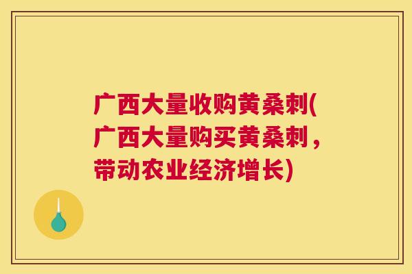 广西大量收购黄桑刺(广西大量购买黄桑刺，带动农业经济增长)