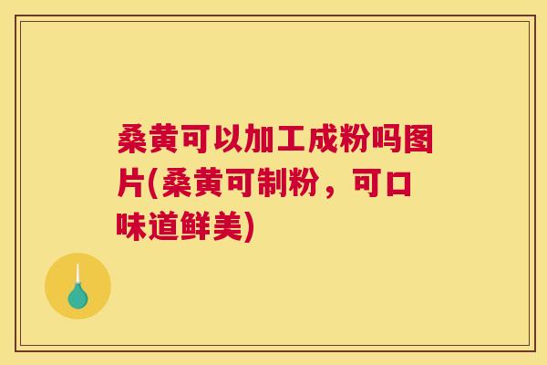 桑黄可以加工成粉吗图片(桑黄可制粉,可口味道鲜美) 桑黄可以加工成粉吗图片(桑黄可制粉,可口味道鲜美)