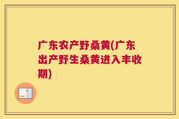 广东农产野桑黄(广东出产野生桑黄进入丰收期) 广东农产野桑黄(广东出产野生桑黄进入丰收期)