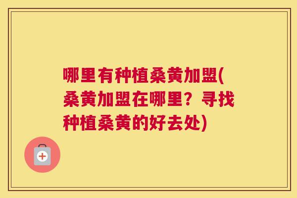 哪里有种植桑黄加盟(桑黄加盟在哪里？寻找种植桑黄的好去处)