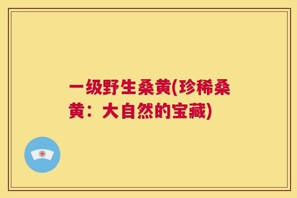一级野生桑黄(珍稀桑黄:大自然的宝藏) 一级野生桑黄(珍稀桑黄:大自然的宝藏)