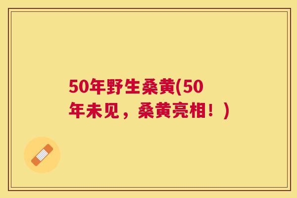 50年野生桑黄(50年未见,桑黄亮相!) 50年野生桑黄(50年未见,桑黄亮相!)