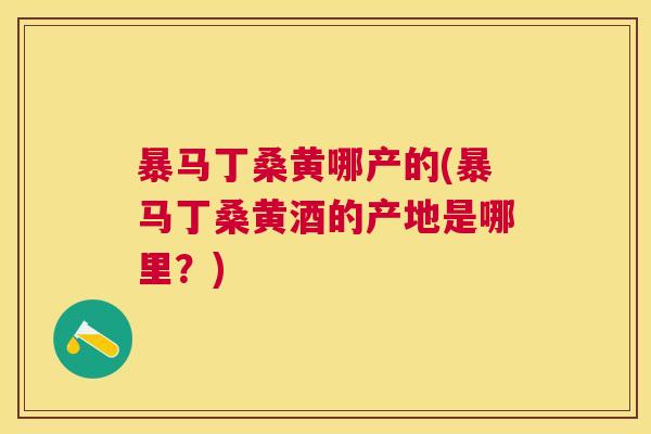 暴马丁桑黄哪产的(暴马丁桑黄酒的产地是哪里？)