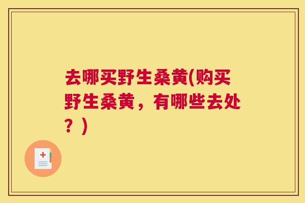 去哪买野生桑黄(购买野生桑黄，有哪些去处？)