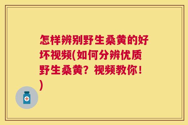怎样辨别野生桑黄的好坏视频(如何分辨优质野生桑黄?视频教你!) 怎样辨别野生桑黄的好坏视频(如何分辨优质野生桑黄?视频教你!)