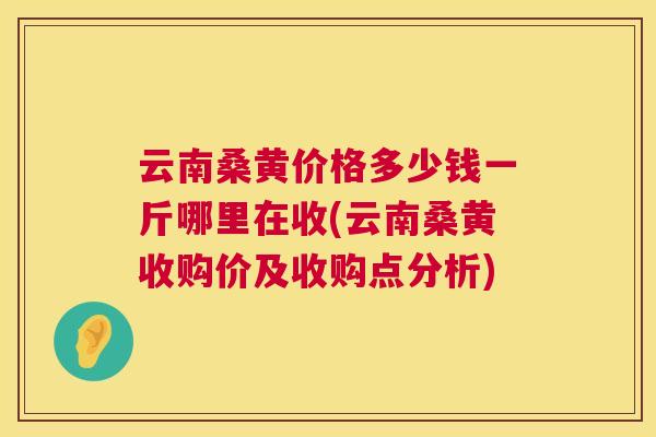 云南桑黄价格多少钱一斤哪里在收(云南桑黄收购价及收购点分析) 云南桑黄价格多少钱一斤哪里在收(云南桑黄收购价及收购点分析)