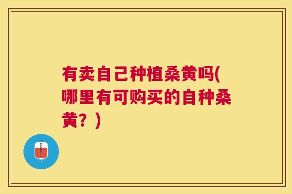 有卖自己种植桑黄吗(哪里有可购买的自种桑黄?) 有卖自己种植桑黄吗(哪里有可购买的自种桑黄?)