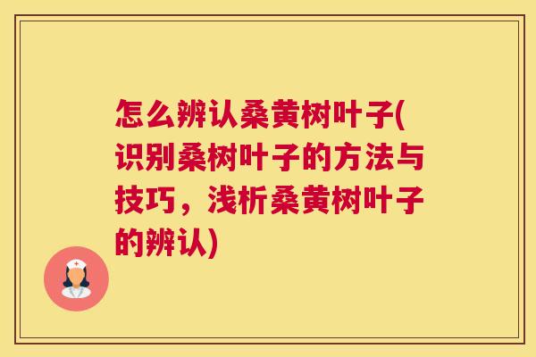 怎么辨认桑黄树叶子(识别桑树叶子的方法与技巧，浅析桑黄树叶子的辨认)