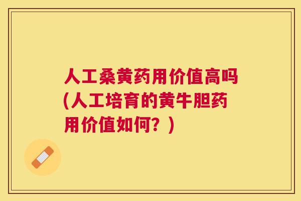 人工桑黄药用价值高吗(人工培育的黄牛胆药用价值如何?) 人工桑黄药用价值高吗(人工培育的黄牛胆药用价值如何?)