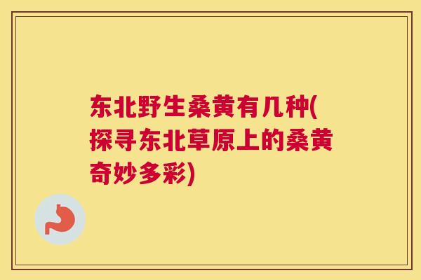 东北野生桑黄有几种(探寻东北草原上的桑黄奇妙多彩) 东北野生桑黄有几种(探寻东北草原上的桑黄奇妙多彩)
