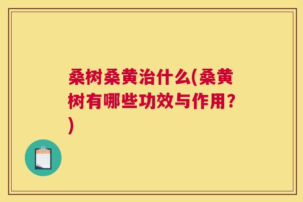 桑树桑黄什么(桑黄树有哪些功效与作用?) 桑树桑黄什么(桑黄树有哪些功效与作用?)