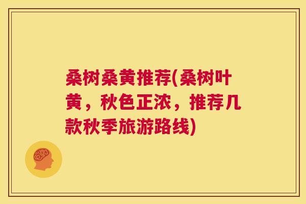 桑树桑黄推荐(桑树叶黄,秋色正浓,推荐几款秋季旅游路线) 桑树桑黄推荐(桑树叶黄,秋色正浓,推荐几款秋季旅游路线)
