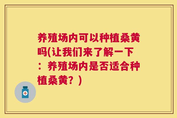养殖场内可以种植桑黄吗(让我们来了解一下:养殖场内是否适合种植桑黄?) 养殖场内可以种植桑黄吗(让我们来了解一下:养殖场内是否适合种植桑黄?)
