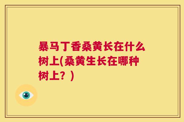 暴马丁香桑黄长在什么树上(桑黄生长在哪种树上?) 暴马丁香桑黄长在什么树上(桑黄生长在哪种树上?)