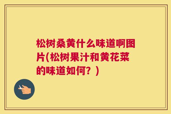 松树桑黄什么味道啊图片(松树果汁和黄花菜的味道如何?) 松树桑黄什么味道啊图片(松树果汁和黄花菜的味道如何?)
