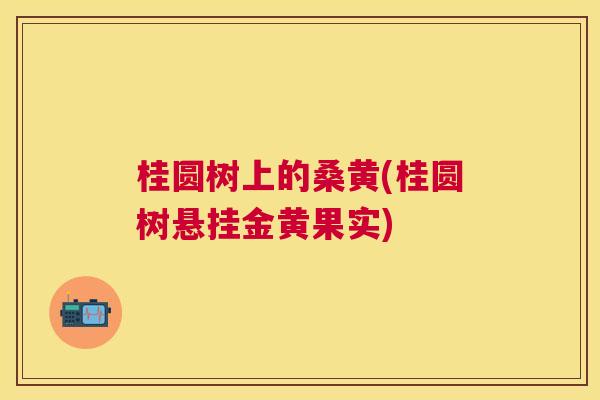 桂圆树上的桑黄(桂圆树悬挂金黄果实) 桂圆树上的桑黄(桂圆树悬挂金黄果实)