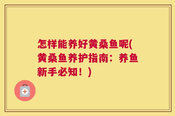 怎样能养好黄桑鱼呢(黄桑鱼养护指南:养鱼新手必知!) 怎样能养好黄桑鱼呢(黄桑鱼养护指南:养鱼新手必知!)
